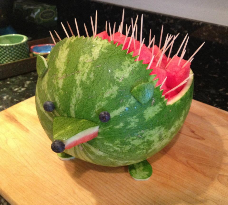 porcupine watermelon